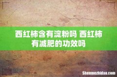 西红柿含有淀粉吗 西红柿有减肥的功效吗