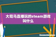 大司马直播玩的steam游戏叫什么