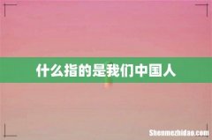 什么指的是我们中国人