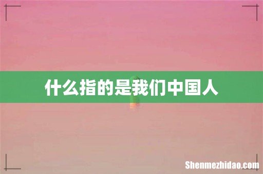 什么指的是我们中国人