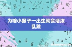 为啥小猴子一出生就会活泼乱跳