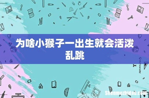 为啥小猴子一出生就会活泼乱跳