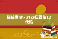 猫头鹰nh-u12s压得住12代吗