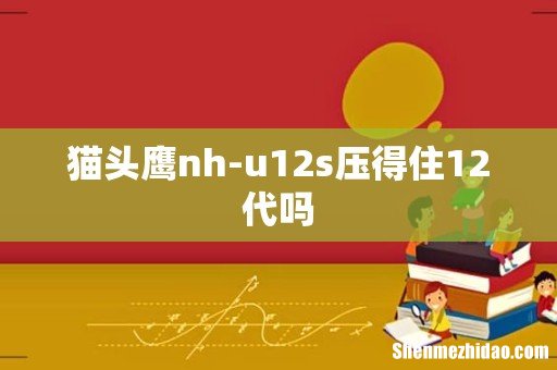 猫头鹰nh-u12s压得住12代吗