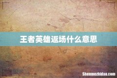 王者英雄返场什么意思