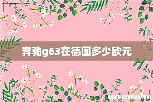 奔驰g63在德国多少欧元