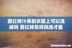 西红柿汁弄到衣服上可以洗掉吗 西红柿怎样挑选才最好