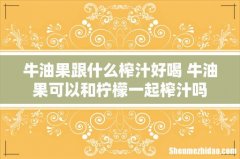 牛油果跟什么榨汁好喝 牛油果可以和柠檬一起榨汁吗