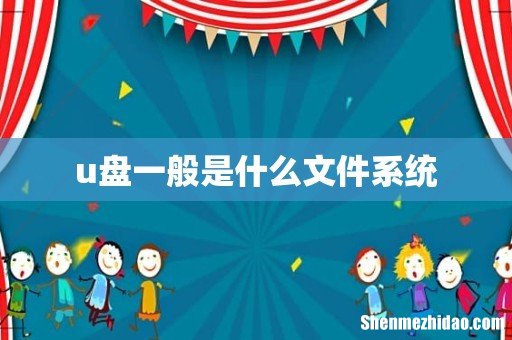 u盘一般是什么文件系统