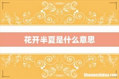 花开半夏是什么意思