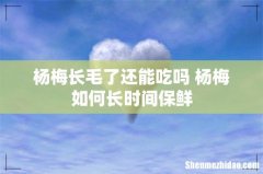 杨梅长毛了还能吃吗 杨梅如何长时间保鲜