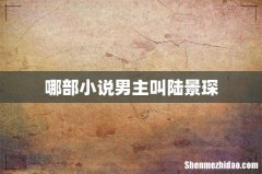 哪部小说男主叫陆景琛