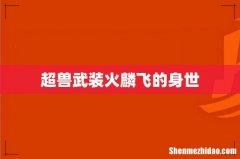 超兽武装火麟飞的身世