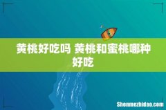 黄桃好吃吗 黄桃和蜜桃哪种好吃