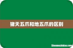 猪天五爪和地五爪的区别