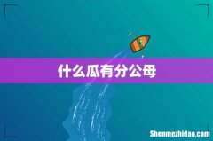 什么瓜有分公母