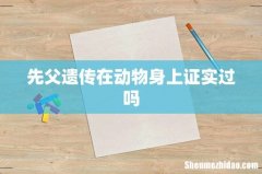 先父遗传在动物身上证实过吗