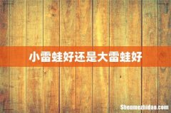 小雷蛙好还是大雷蛙好