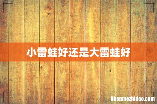 小雷蛙好还是大雷蛙好