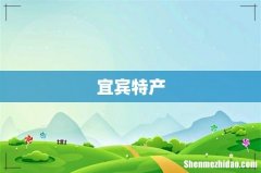 宜宾特产