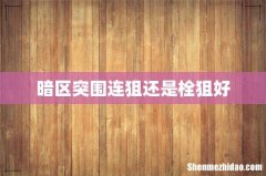 暗区突围连狙还是栓狙好