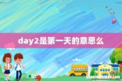 day2是第一天的意思么