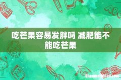 吃芒果容易发胖吗 减肥能不能吃芒果