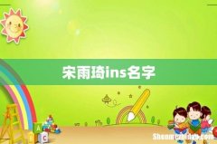 宋雨琦ins名字