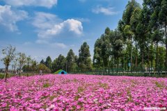 还呗上还享花能提现吗 还呗还享花可以提前还款吗