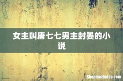 女主叫唐七七男主封晏的小说