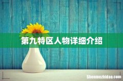 第九特区人物详细介绍