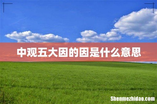 中观五大因的因是什么意思