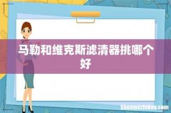 马勒和维克斯滤清器挑哪个好