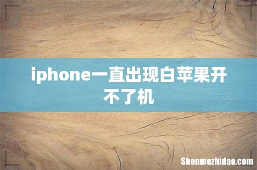 iphone一直出现白苹果开不了机