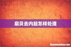 扇贝去内脏怎样处理