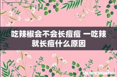 吃辣椒会不会长痘痘 一吃辣就长痘什么原因