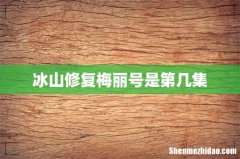 冰山修复梅丽号是第几集