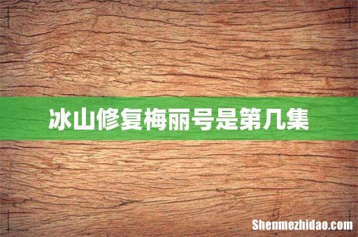 冰山修复梅丽号是第几集