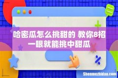 哈密瓜怎么挑甜的 教你8招一眼就能挑中甜瓜