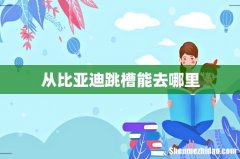 从比亚迪跳槽能去哪里