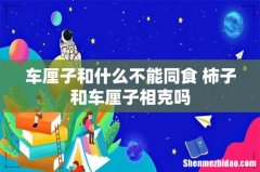 车厘子和什么不能同食 柿子和车厘子相克吗