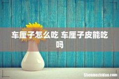 车厘子怎么吃 车厘子皮能吃吗