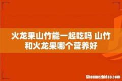 火龙果山竹能一起吃吗 山竹和火龙果哪个营养好