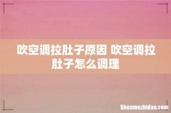 吹空调拉肚子原因 吹空调拉肚子怎么调理