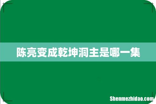 陈亮变成乾坤洞主是哪一集