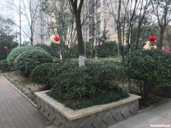 郑州大观国际怎么样 郑州大观国际属于哪个街道办事处