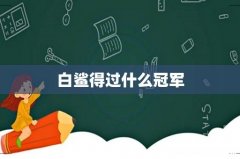 白鲨得过什么冠军