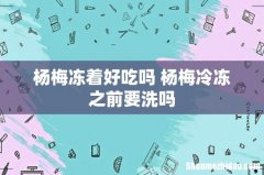 杨梅冻着好吃吗 杨梅冷冻之前要洗吗