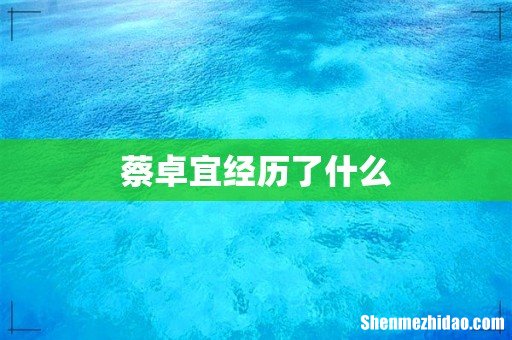 蔡卓宜经历了什么
