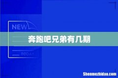 奔跑吧兄弟有几期